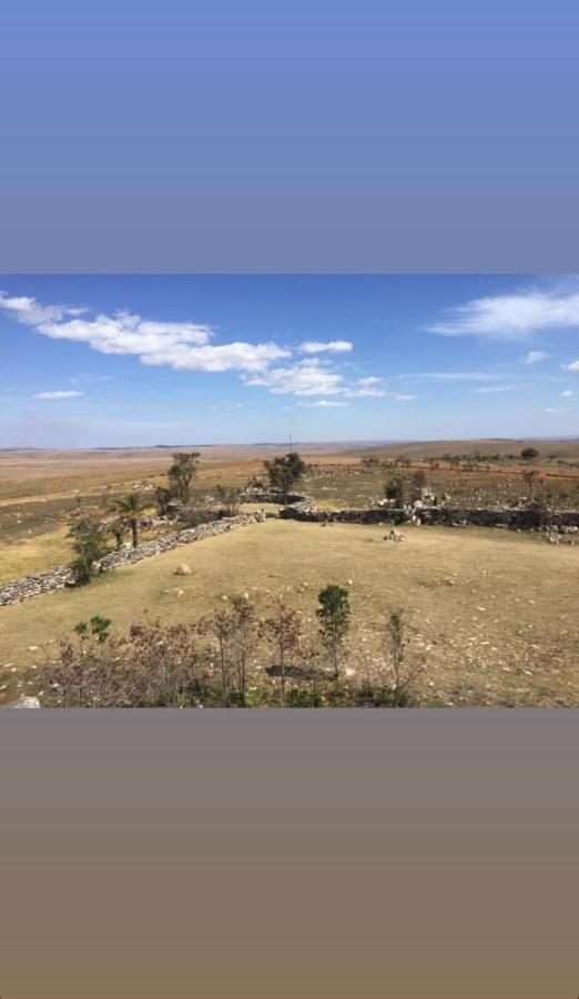 São Roque de Minas Chale Da Picaretaヴィラ エクステリア 写真